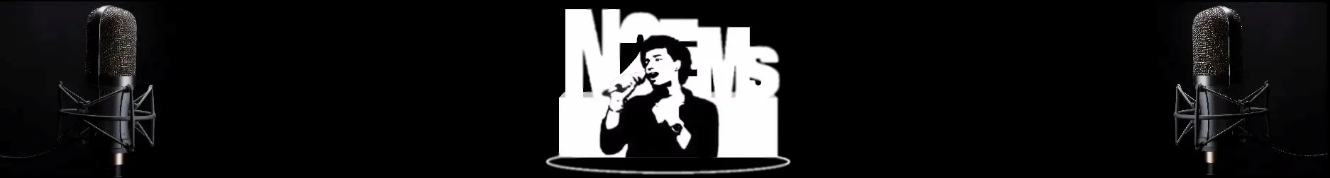 n2ems header
